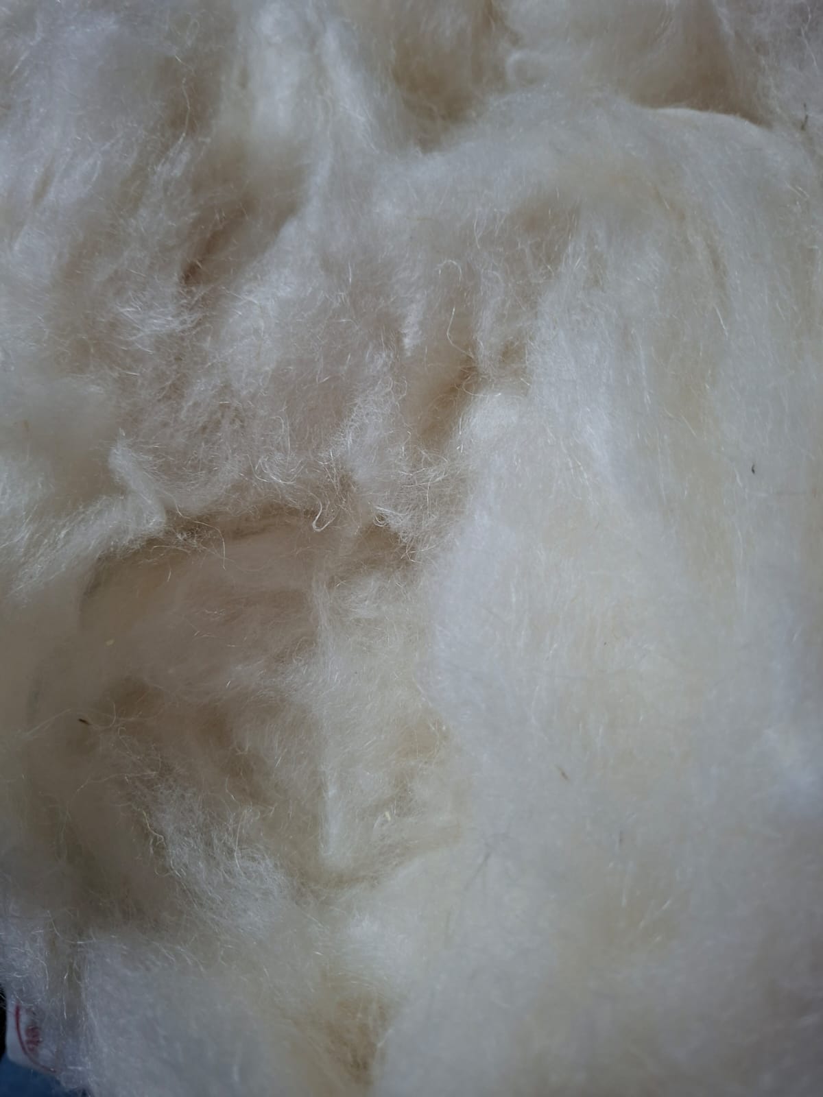 Bleached Cottonized Flax Fiber